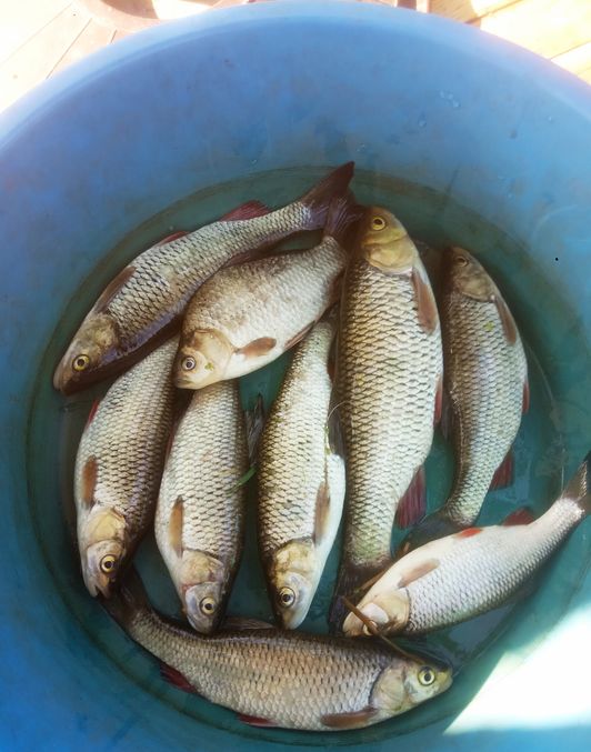 Мануальный фишинг - самая честная рыбалка hand Fishing