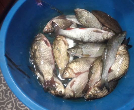 Мануальный фишинг - самая честная рыбалка hand Fishing - Мануальный фишинг
