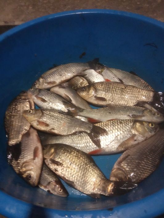 Мануальный фишинг - самая честная рыбалка hand Fishing