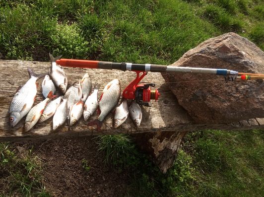 Мануальный фишинг - самая честная рыбалка. Ловим пока с мостика hand Fishing