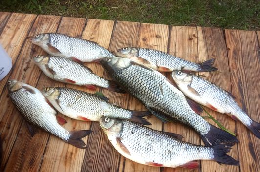Мануальный фишинг - самая честная рыбалка. Перекат hand Fishing