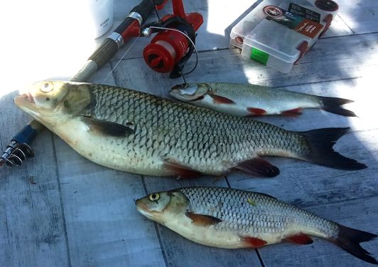 Мануальный фишинг - самая честная рыбалка. Перекат hand Fishing