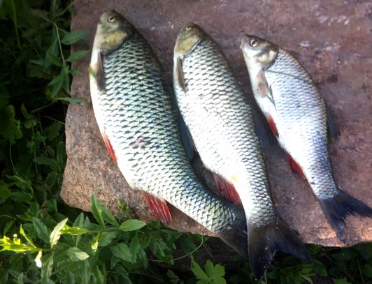 Мануальный фишинг - самая честная рыбалка hand Fishing